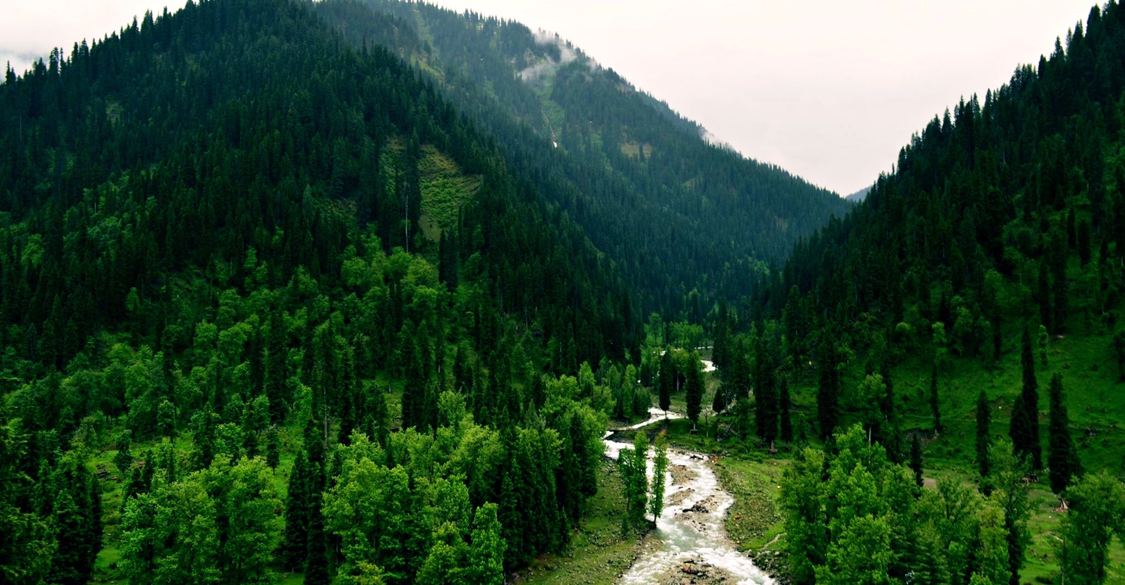 Beautiful valley with a small river